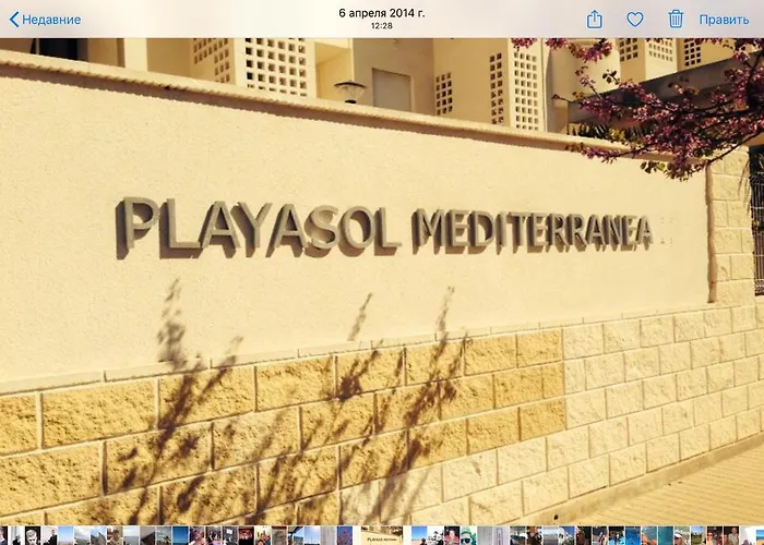 Planta Baja Playa Sol 2
